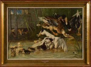 Canards A La Mare by Charles Verlat