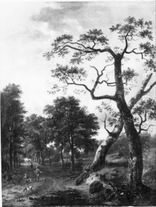 Landscape