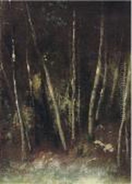 Bosco - view 1