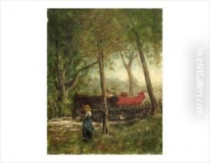 Vaches Et Gardienne Dans Un Sous-bois