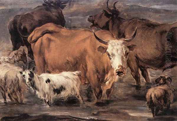 Animal Study - view 1