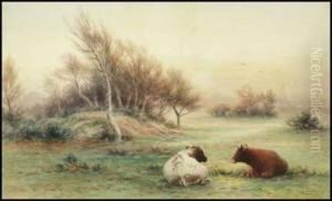 Morning, Wimbledon Common