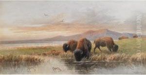 Buffalo Grazing, Evening by Frederick Arthur Verner