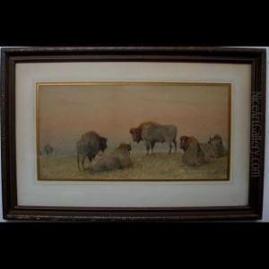 Buffalo At Rest by Frederick Arthur Verner