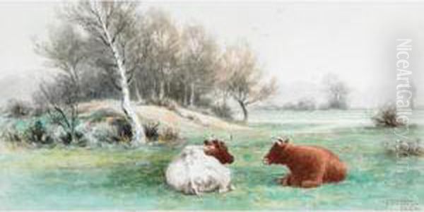 Resting Cattle - view 1