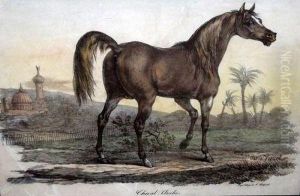Cheval Arabe by Carle Vernet