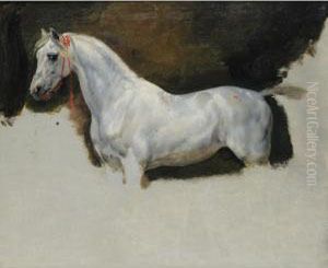Etude De Cheval Blanc by Horace Vernet