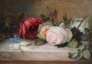 Still Life Of Roses Still Life Of Roses