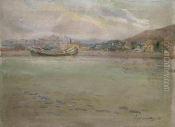 "peisaj Dunarean" - view 1