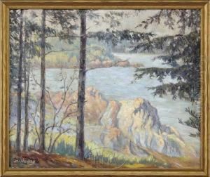 "peter's Island, Damariscotta River Me by Theodore J. Verschaeren