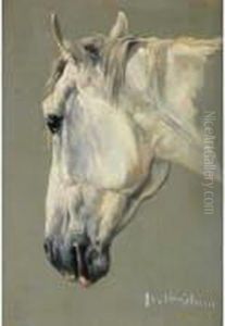 Tete De Cheval by C. Verschuur
