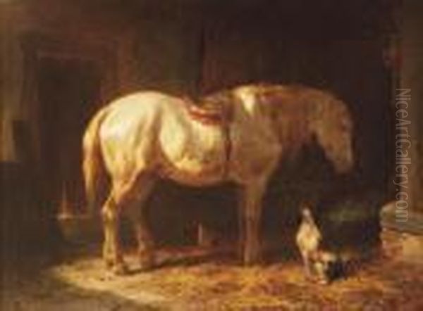 True Companions - view 1