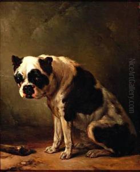 Zittende Hond, Een Boxer - view 1