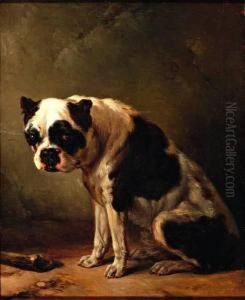 Zittende Hond, Een Boxer