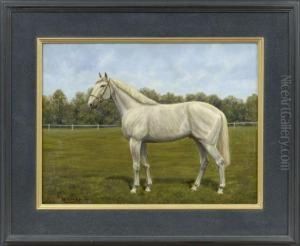 "portrait Of A White Horse"