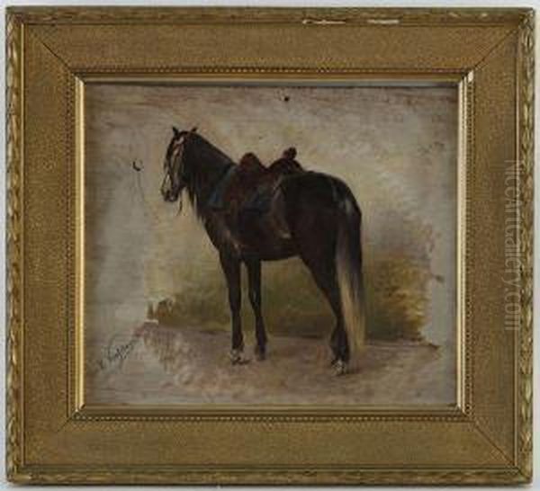 Cheval Selle A L'arret - view 1