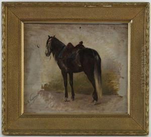 Cheval Selle A L'arret