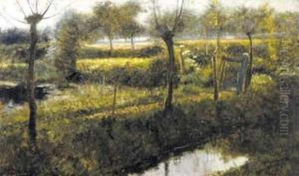 Landschap - view 1