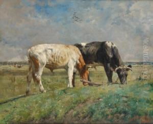 Vaches Aupre