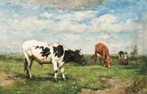 Polderlandschap Met Melkster En Vee