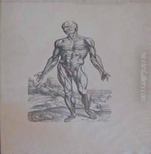 Two Prints After Anatomy Of The Human Body By Andreasvesalius by Andreas Vesalius