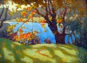Lawn Shadows by Charles Vezin