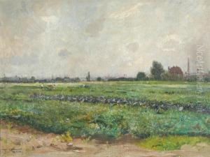 Summer Field In June by Frederick Vezin