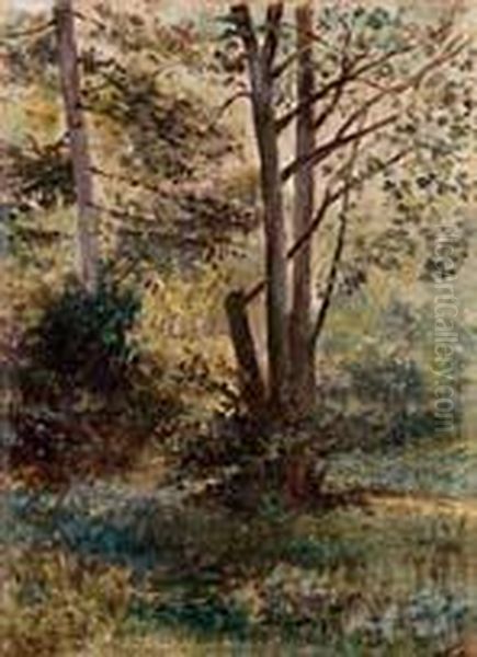 Nel Bosco - view 1