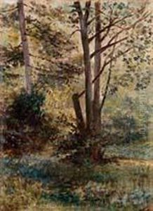 Nel Bosco
