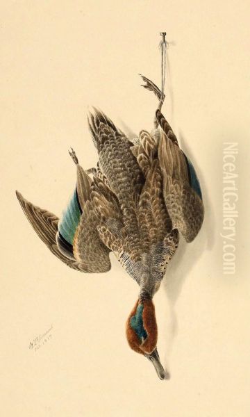 A Hanging Green Winged Teal - view 1