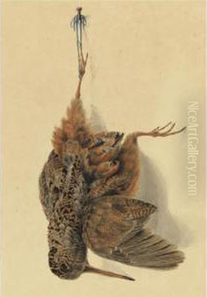 A Hanging Snipe - view 1