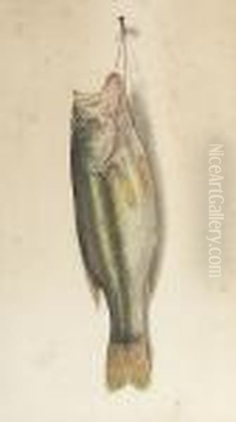 Nature Morte Of A Bass - view 1