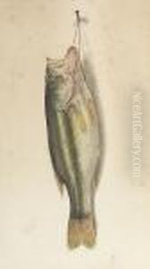 Nature Morte Of A Bass by George Louis Viavant