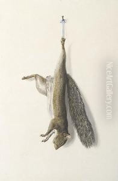 Nature Morte Of A Squirrel - view 1