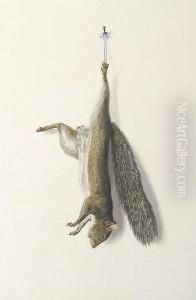 Nature Morte Of A Squirrel Nature Morte Of A Squirrel