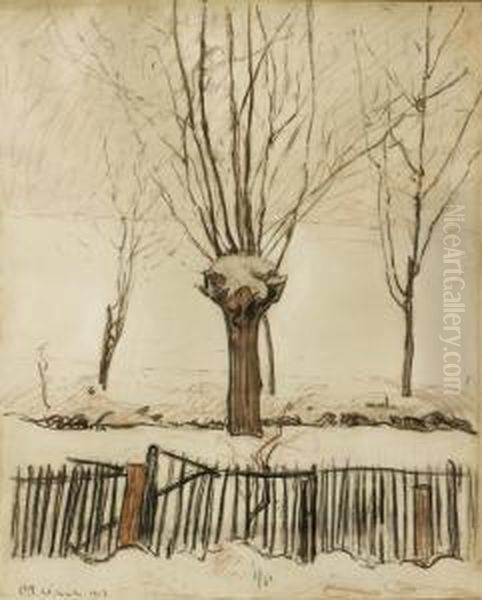 Platanes Dans Un Paysage Enneige - view 1