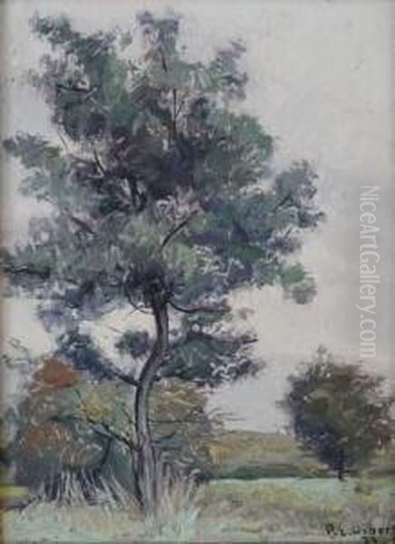 Paysage - view 1