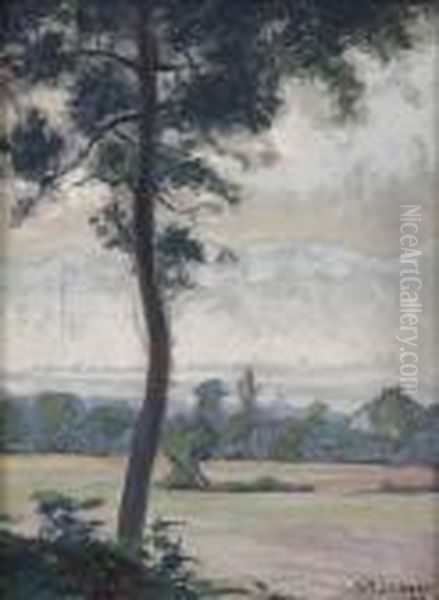 Les Bois D'ornex Pres De Fernex - view 1