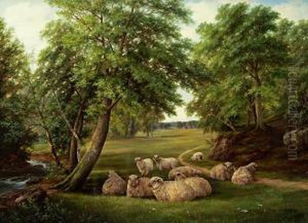 Sheep Resting In A Landscape - view 1