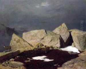 Mountain Landscape with chamois