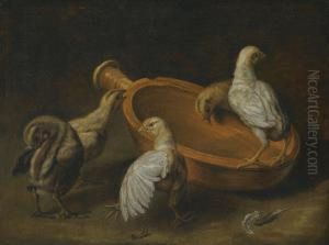 Five Chicks Assembled Around A Bowl Of Water by Jacomo (or Victor, Jacobus) Victors