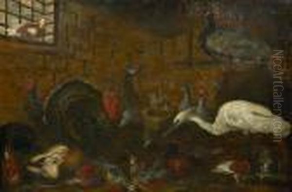 Dindons, Paons, Herons, Pintades, Faisans, Poules Et Coqs - view 1