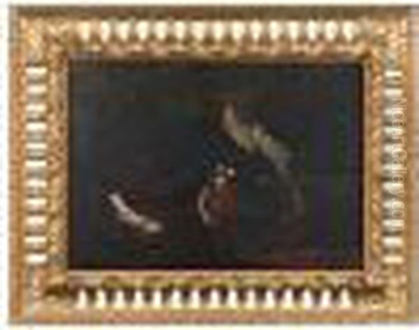 Natura Viva - view 1