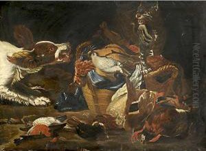 Natura Morta Con Gatto, Uccelli E Cane by Jacomo (or Victor, Jacobus) Victors