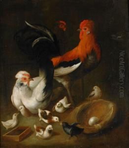 Honsfaglar Och Duvor - 1 Par by Jacomo (or Victor, Jacobus) Victors