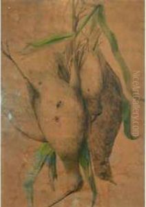Nature Morte Nature Morte