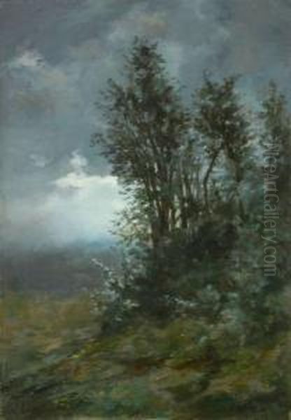 Prima Della Tempesta - view 1