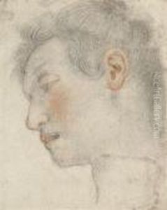 Study Of A Male Head by Jacopo Vignali