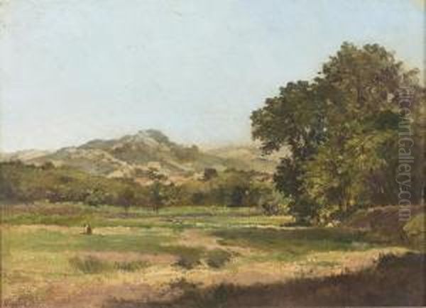 Spatsommerliche Landschaft. - view 1