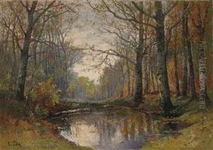 Autumnal Woodland Scene